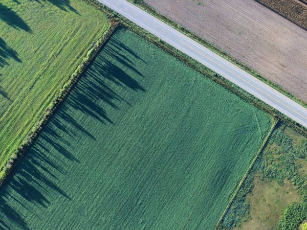 terreno agricolo in vendita a San Giorgio in Bosco