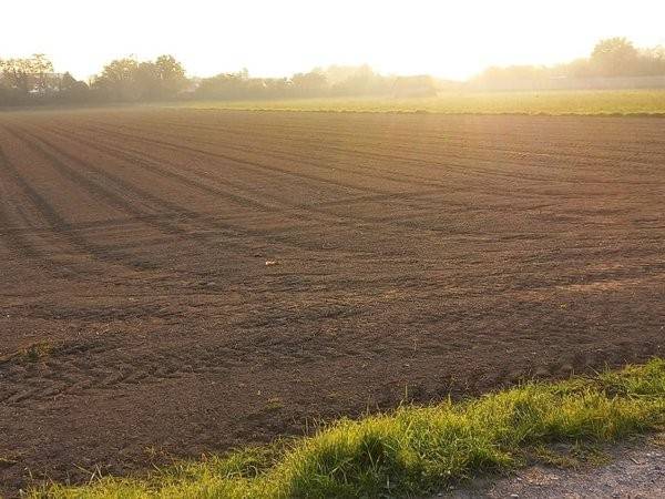 terreno agricolo in vendita a San Giorgio in Bosco