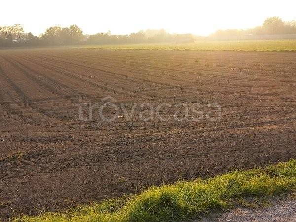terreno agricolo in vendita a San Giorgio in Bosco