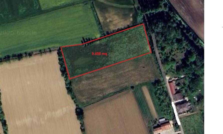 terreno agricolo in vendita a San Giorgio in Bosco
