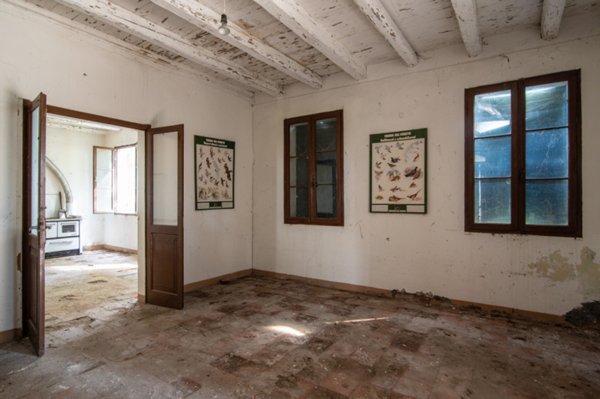 immagine annuncio 0 di 10