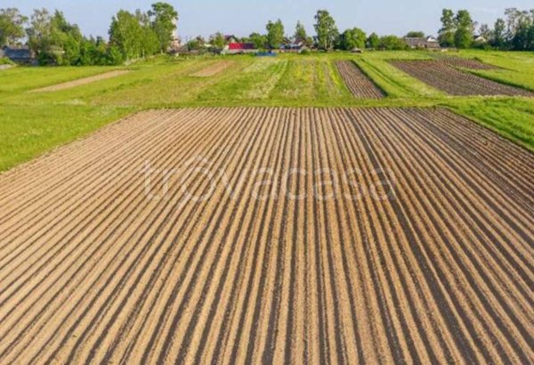 terreno agricolo in vendita a San Giorgio in Bosco
