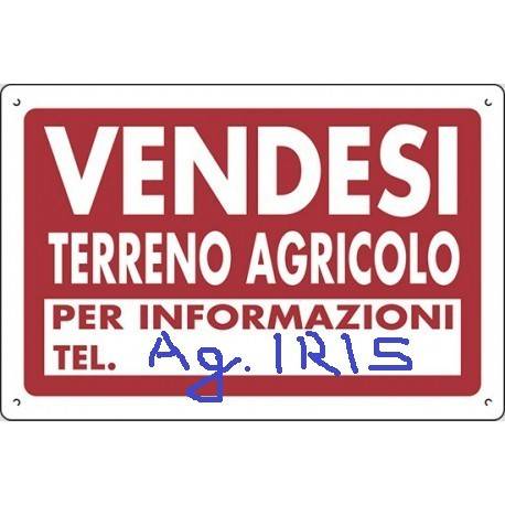 terreno agricolo in vendita a San Giorgio in Bosco