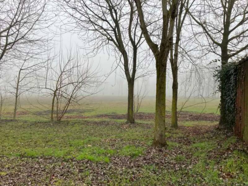 terreno agricolo in vendita a San Giorgio in Bosco in zona Paviola