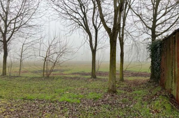 terreno agricolo in vendita a San Giorgio in Bosco in zona Sant'Anna Morosina