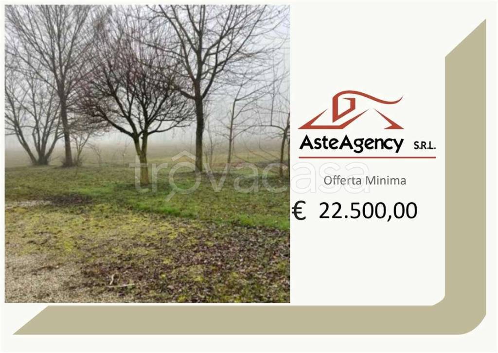 terreno agricolo in vendita a San Giorgio in Bosco in zona Sant'Anna Morosina