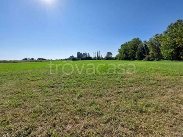 terreno in vendita a San Giorgio in Bosco