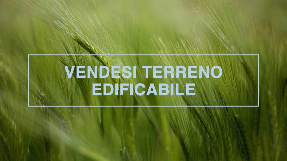 terreno edificabile in vendita a San Martino di Lupari in zona Campagnalta