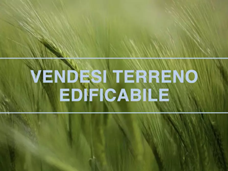 immagine annuncio 0 di 1