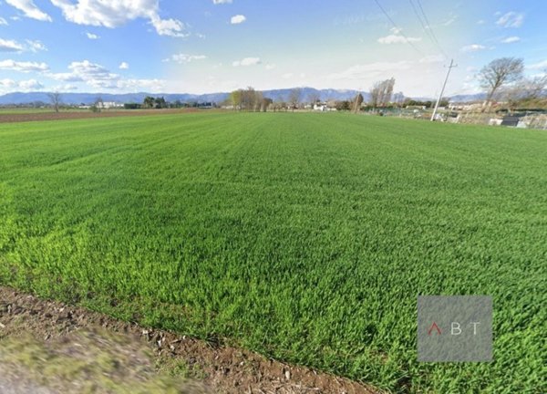 terreno agricolo in vendita a San Martino di Lupari