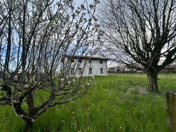 casa indipendente in vendita a San Martino di Lupari in zona Campagnalta
