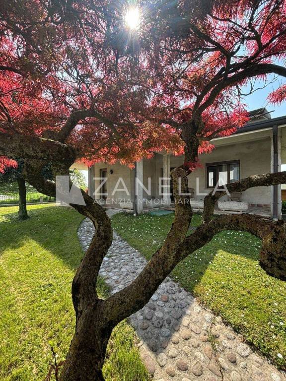 casa indipendente in vendita a San Martino di Lupari