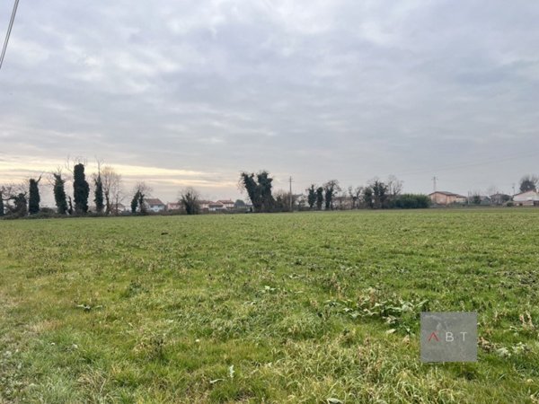 terreno agricolo in vendita a San Martino di Lupari