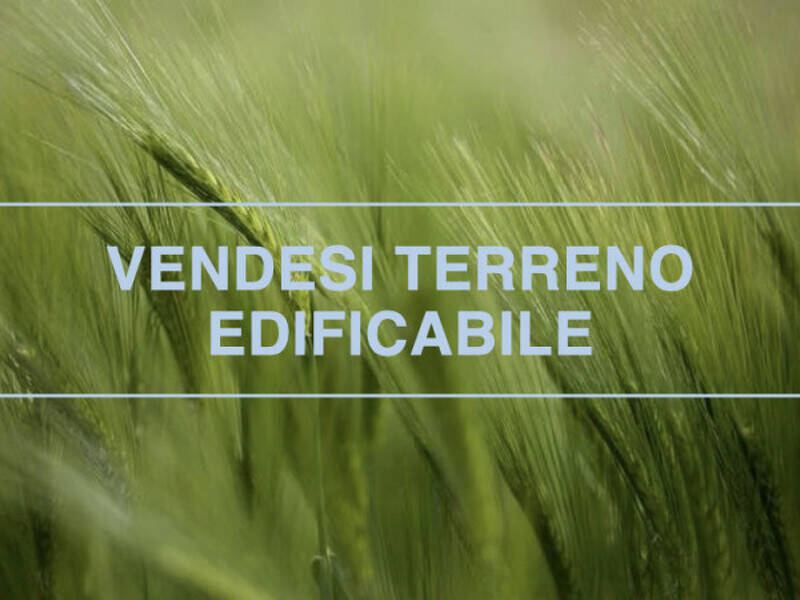 terreno agricolo in vendita a San Martino di Lupari in zona Campagnalta