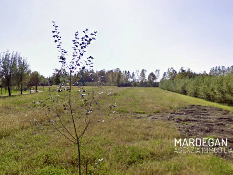 terreno agricolo in vendita a San Martino di Lupari