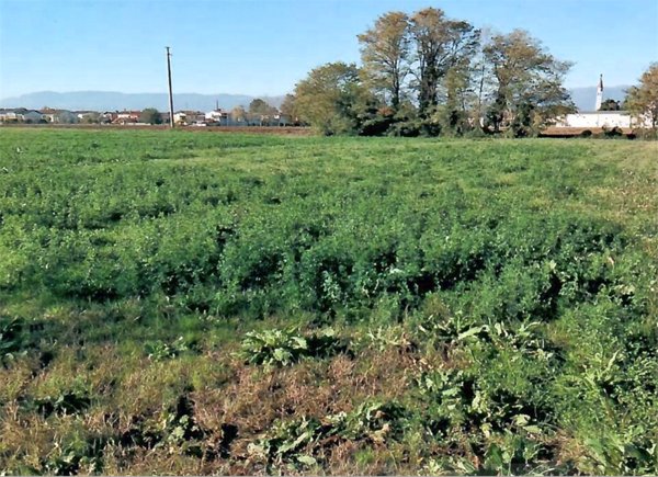 ufficio in vendita a San Martino di Lupari