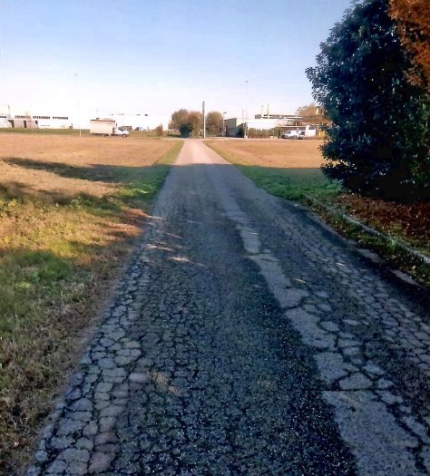 terreno agricolo in vendita a San Martino di Lupari