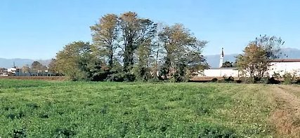 terreno agricolo in vendita a San Martino di Lupari