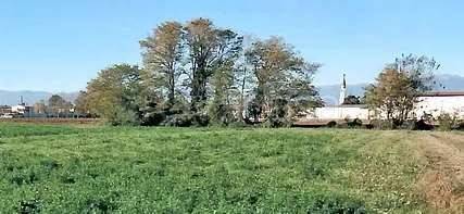 terreno agricolo in vendita a San Martino di Lupari