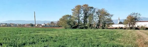 terreno agricolo in vendita a San Martino di Lupari
