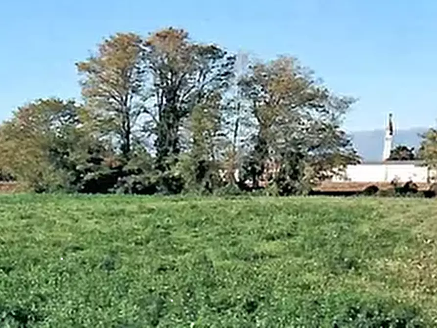 terreno agricolo in vendita a San Martino di Lupari