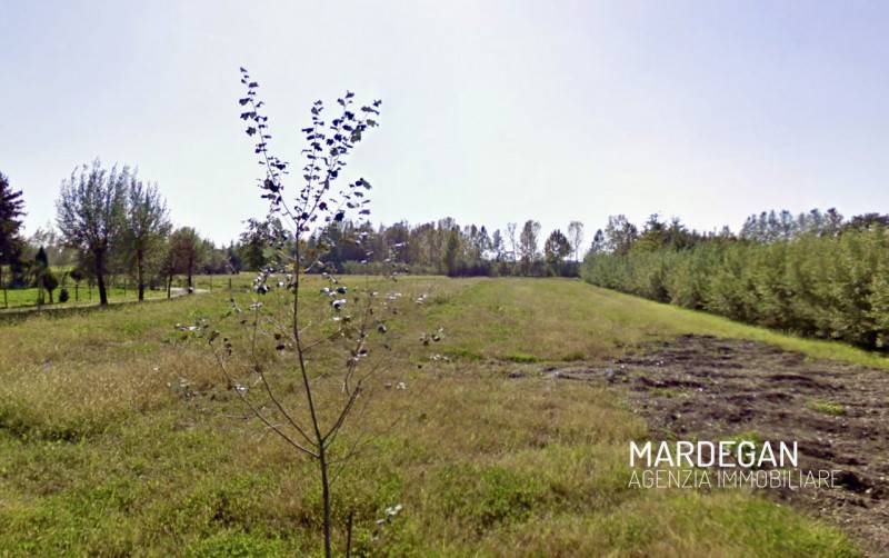 terreno in vendita a San Martino di Lupari in zona Lovari