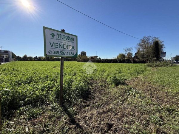 terreno agricolo in vendita a San Martino di Lupari