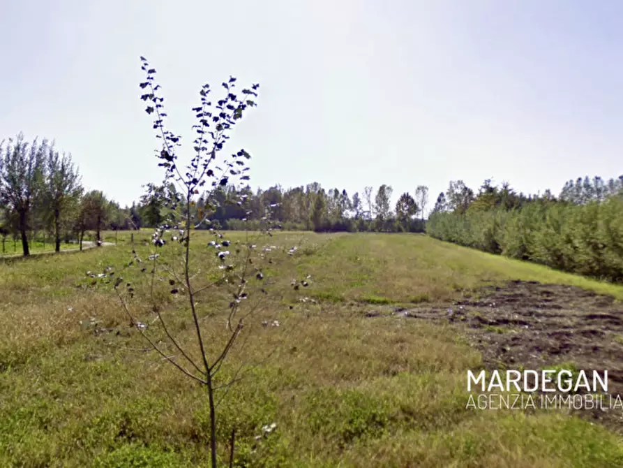 terreno in vendita a San Martino di Lupari in zona Lovari