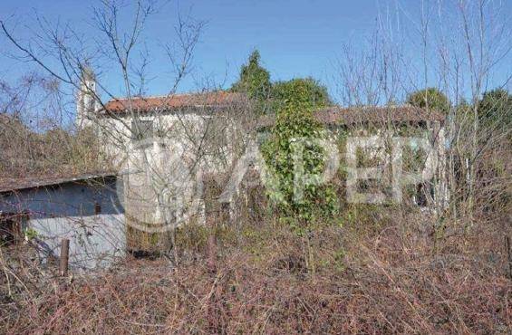 casa indipendente in vendita a San Pietro in Gu