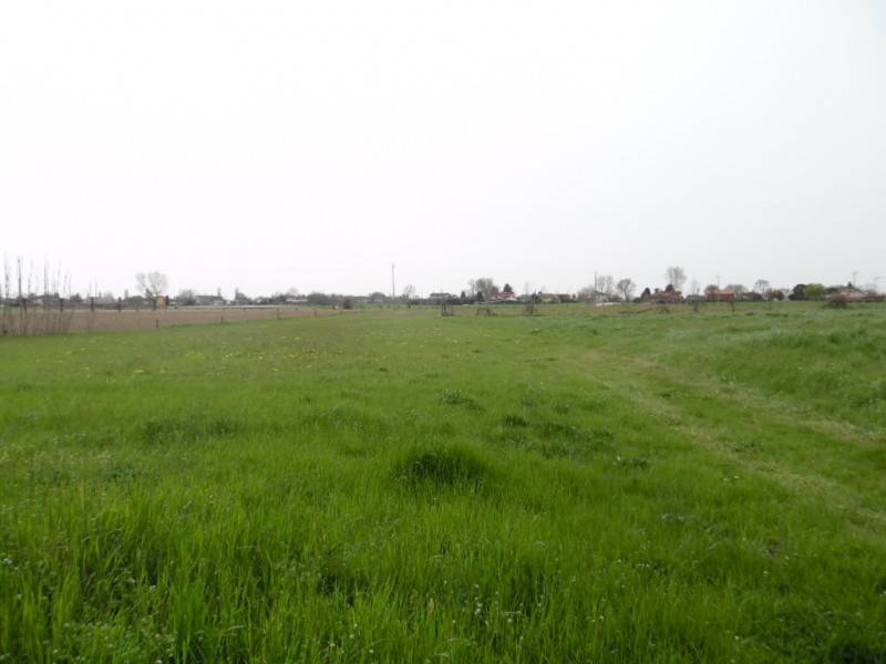 terreno edificabile in vendita a San Pietro Viminario in zona Vanzo