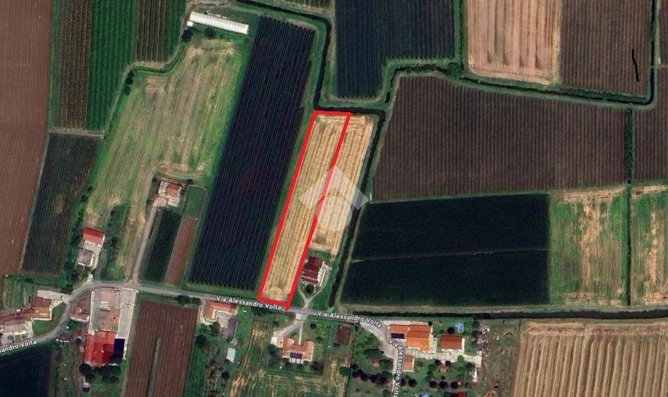 terreno agricolo in vendita a San Pietro Viminario in zona Vanzo