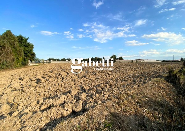 terreno agricolo in vendita a San Pietro Viminario