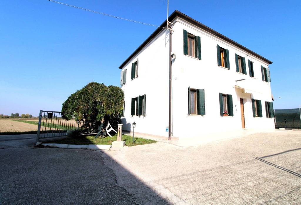 casa indipendente in vendita a San Pietro Viminario