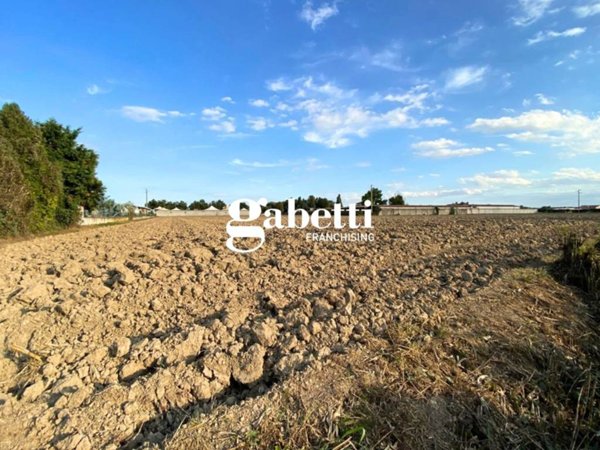 terreno agricolo in vendita a San Pietro Viminario