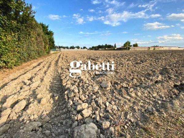 terreno agricolo in vendita a San Pietro Viminario