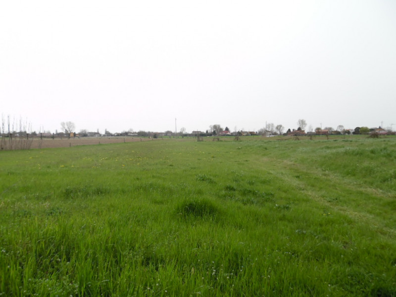 terreno edificabile in vendita a San Pietro Viminario in zona Vanzo