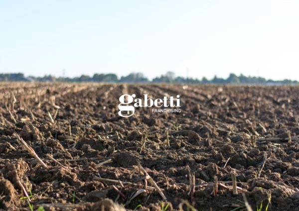 terreno agricolo in vendita a San Pietro Viminario