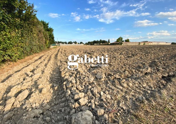 terreno in vendita a San Pietro Viminario in zona Vanzo