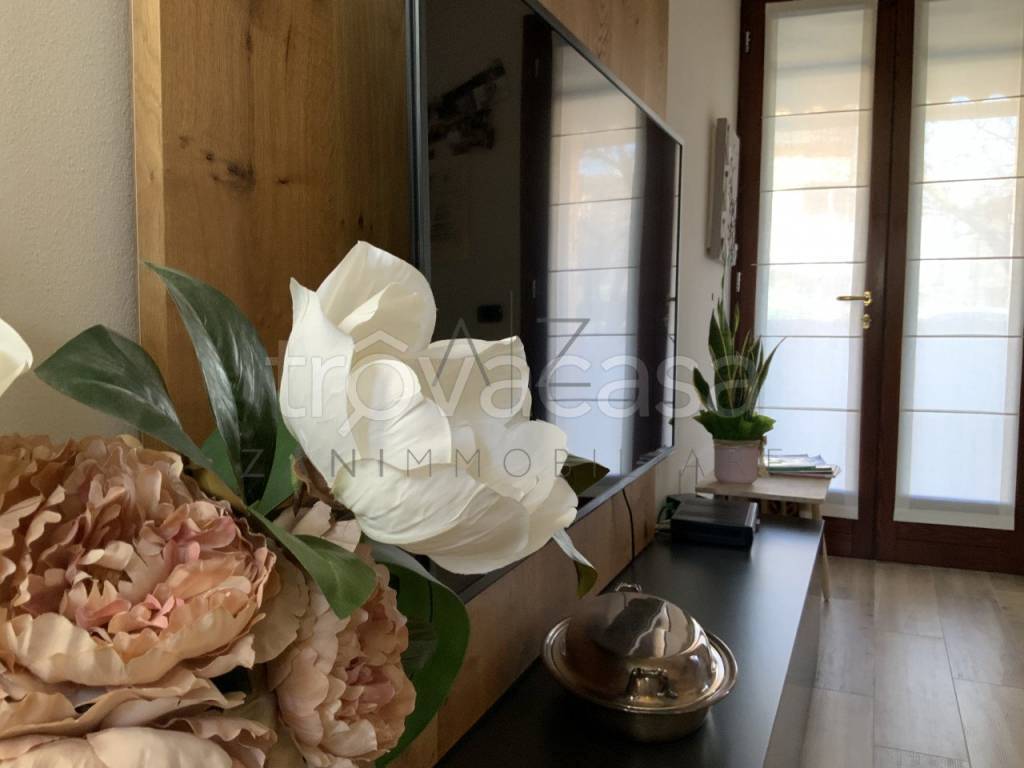 casa indipendente in vendita a Santa Giustina in Colle