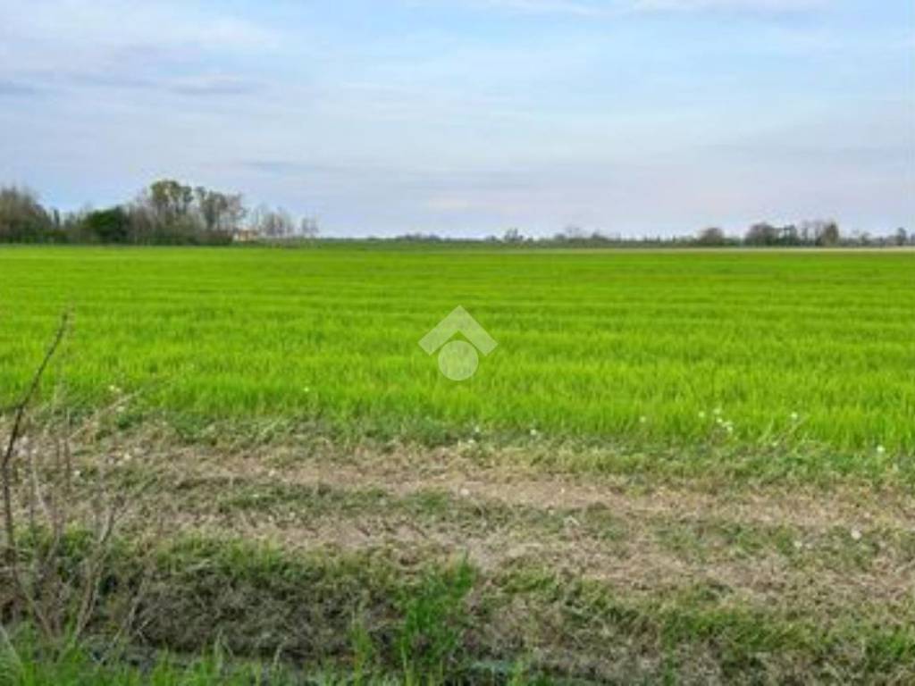 terreno agricolo in vendita a Santa Giustina in Colle