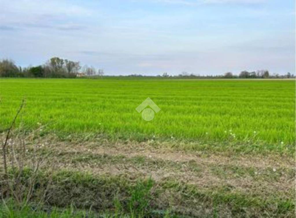 terreno agricolo in vendita a Santa Giustina in Colle