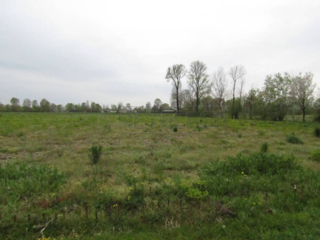 terreno edificabile in vendita a Santa Giustina in Colle in zona Fratte