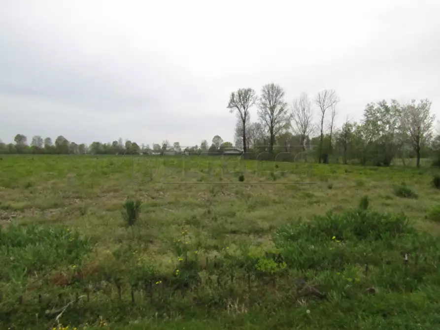 terreno edificabile in vendita a Santa Giustina in Colle in zona Fratte
