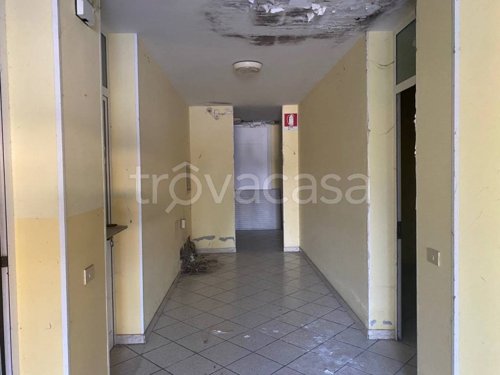 terreno edificabile in vendita a Santa Giustina in Colle