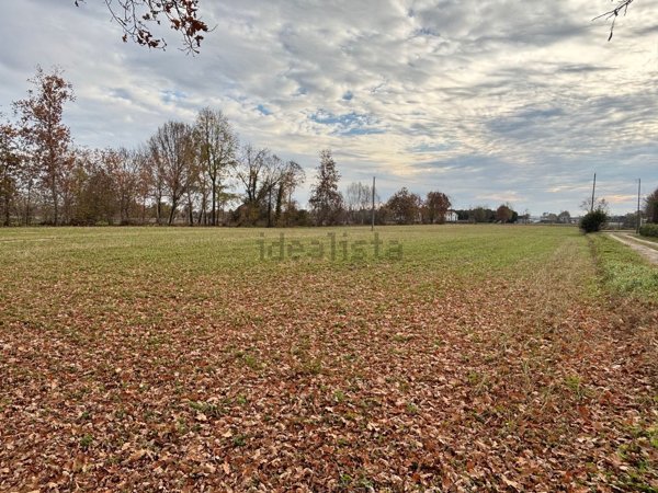 terreno agricolo in vendita a Santa Giustina in Colle in zona Fratte