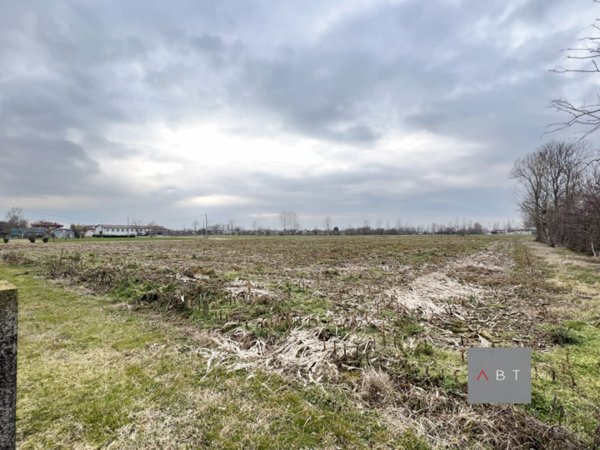 terreno agricolo in vendita a Santa Giustina in Colle in zona Fratte
