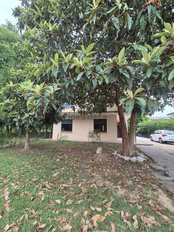casa indipendente in vendita a Santa Giustina in Colle