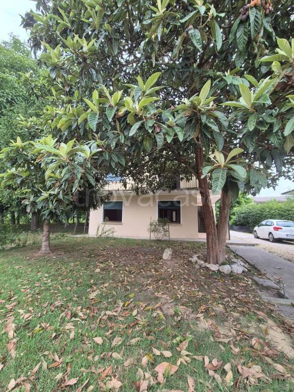 casa indipendente in vendita a Santa Giustina in Colle