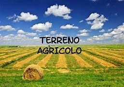 terreno agricolo in vendita a Sant'Angelo di Piove di Sacco