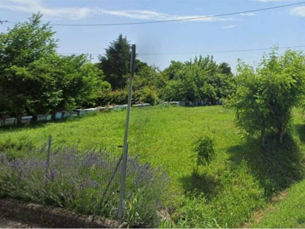 terreno edificabile in vendita a Sant'Angelo di Piove di Sacco